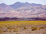 Death Valley 033